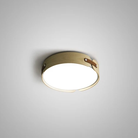 Потолочный светильник круглый ImperiumLoft RANGE03 (LED, 220V, круглые)