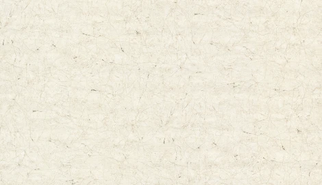 Обои виниловые Marburg Vintage Deluxe 32852 10,05 x 1,06 м