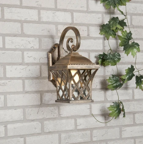 Настенный фонарь уличный Elektrostandard Cassiopeya D (220V, IP44)