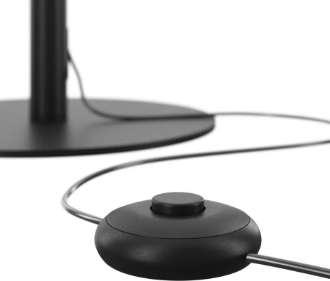 Торшер Maytoni Ray Z012FL-L18B3K (LED, 220V, выключатель, круглые)