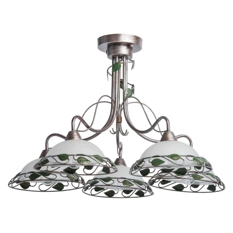 Потолочная люстра MW-Light Аида 323014905