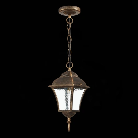 Уличный светильник подвесной ST Luce Domenico SL082.203.01