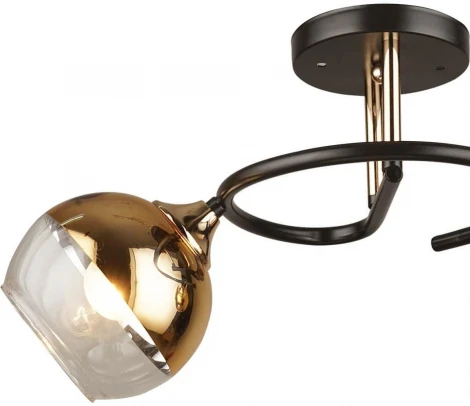 Потолочная люстра на штанге Wedo Light Ajelli 66395.01.15.02