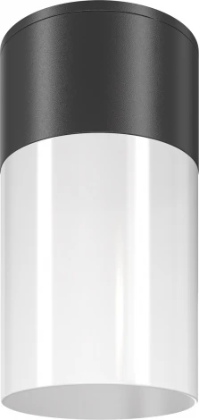 Уличный потолочный светильник Maytoni Willis O418CL-01B