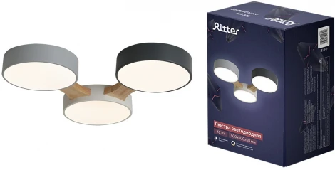 Потолочный светодиодный светильник Ritter Scandia 52070 2