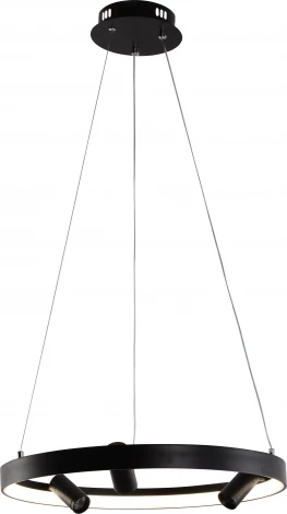 Подвесной светильник со спотами Rivoli Selena 6147-101 (регулировка яркости, LED, 220V, пульт управления, на тросе, круглые)