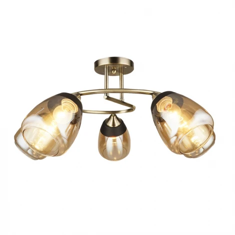 Потолочная люстра Wedo Light Aldino 66425.01.05.05