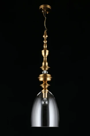 Подвесной светильник Aployt Rena APL.602.16.01 (220V, на проводе, круглые)