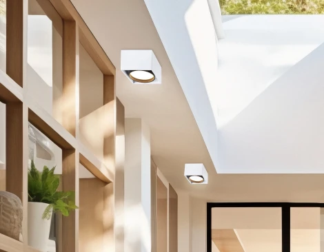 Накладной точечный светильник Ambrella Techno Spot TN70865 (220V)