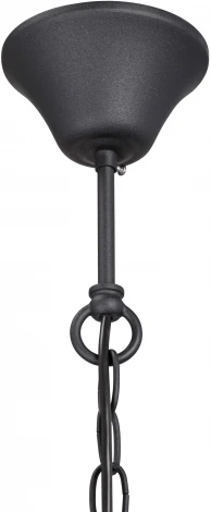 Подвесная люстра V3985-1/6 Vitaluce (220V, на цепи, свеча)