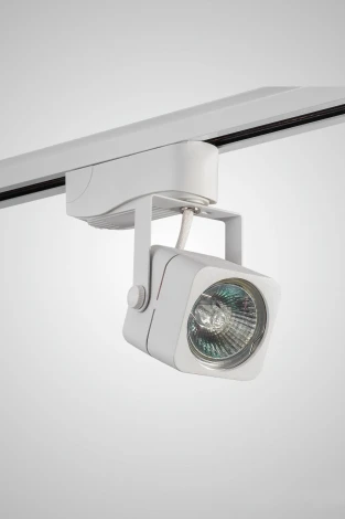 Однофазный трековый светильник AM Group TRACK AM233 WH (220V)