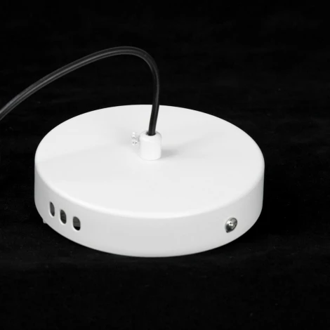 Подвесной светильник светодиодный Lussole Irvine LSP-7341 (220V, на проводе, круглые)