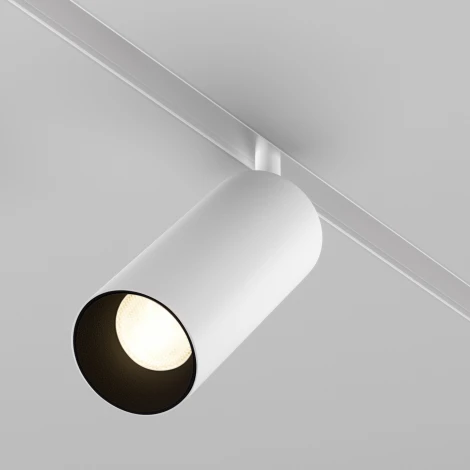 Трековый светильник магнитный Exility 3000-6000K 20Вт Dim Smart Maytoni Focus LED TR032-4-20W3K-S-DS-W (48V, круглые)