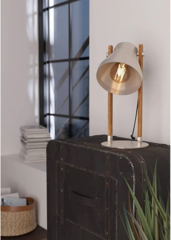 Настольная лампа Eglo Cawton 43953 (220V, выключатель)