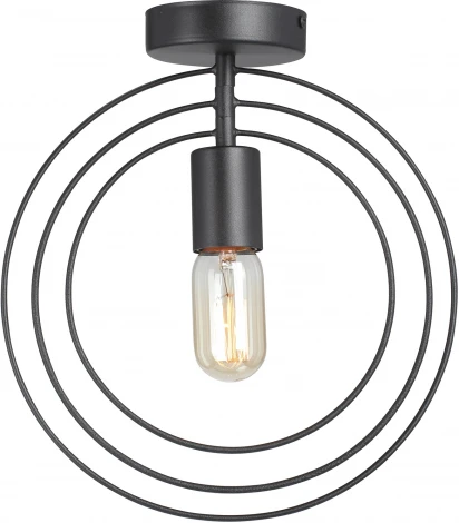 Потолочный светильник круглый Vitaluce V3794-1/1PL, 1xE27 макс. 40Вт (220V, круглые)