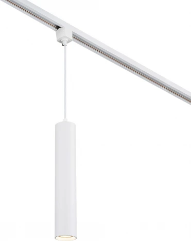 Трековый светильник однофазный Escada 20001 20001TRP/01 SWH 1x50Вт GU10, металл, белый матовый (220V, круглые)