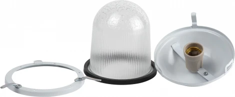 Подвесной светильник ЭРА НСП 02-100-001 (220V, IP54)