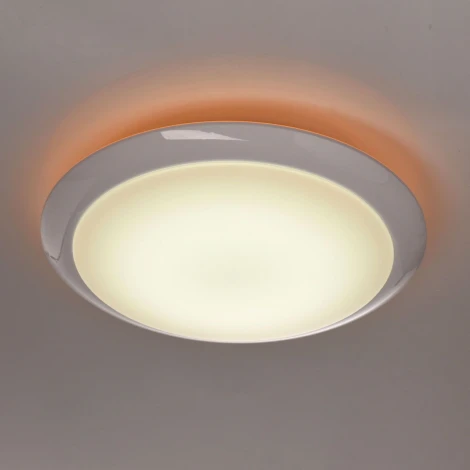 Потолочный светильник MW-Light Ривз 674014101