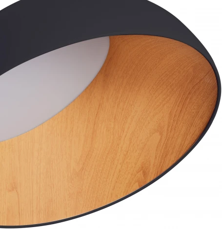 Потолочный светильник круглый светодиодный Zortes Baum ZRS.01243.07 (220V, круглые, IP21)