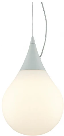 Подвесной светильник Wertmark Dropi WE217.01.123 (220V, на тросе, шар)