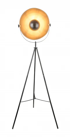 Торшер Globo SANDRA 58323S