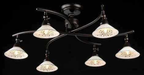 Потолочная люстра Maytoni Spot 2 ECO002-06-R