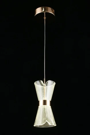 Подвесной светильник Aployt Charlayn APL.771.06.08 (LED, 220V, на проводе)