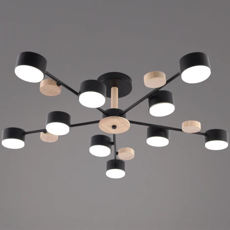 Потолочная люстра на штанге Reluce 03758-0.3-10 BK+WOOD GX53