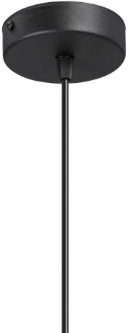 Подвесной светильник V2949-1/1S (220V)