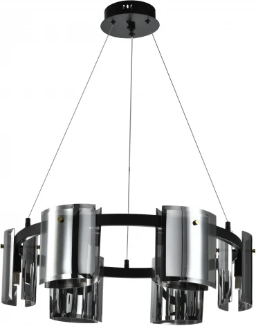 Подвесная люстра Zortes Rony ZRS.1209.06 (220V, на тросе, круглые)