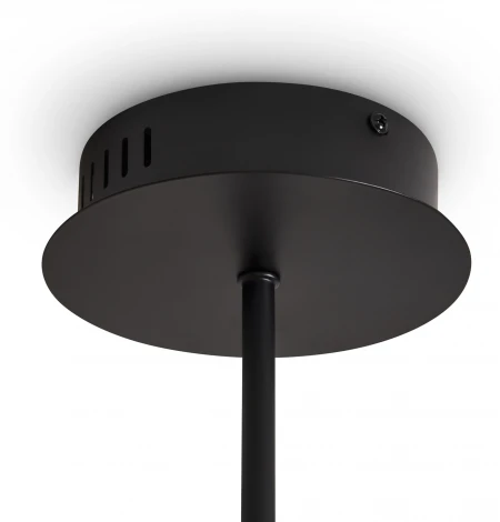 Подвесной светильник Freya Brilliance FR5557PL-L32B (LED, 220V, на проводе)