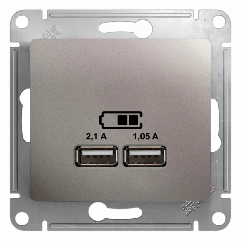 Розетка USB Type-A (платина) Systeme Electric GSL001233