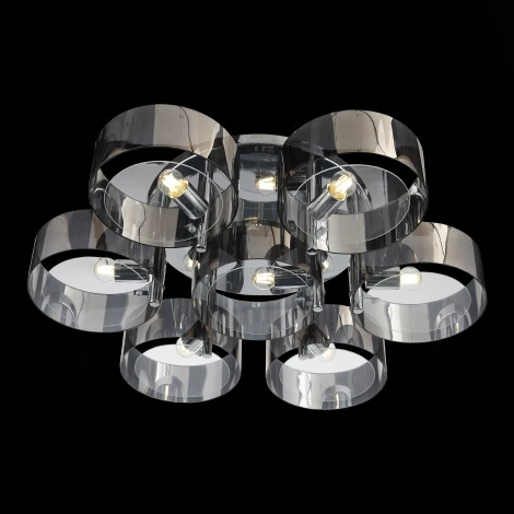 Потолочная люстра ST Luce Foresta SL483.702.05