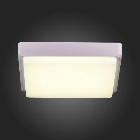 Потолочный светильник Evoluce Taddio SLE200212-01 (LED, 220V)