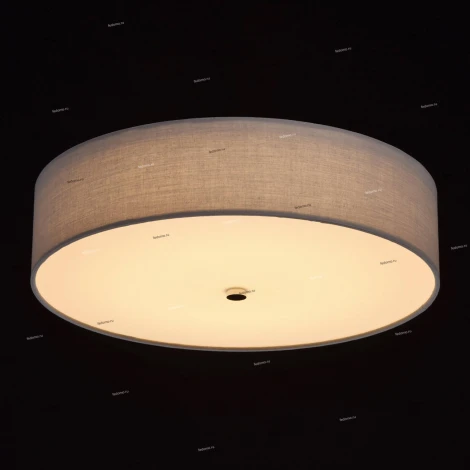 Потолочный светильник MW-Light Дафна 453011401