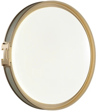 Настенно-потолочный светильник Sonex Favemo Grey 7654/DL пластик/белый/серый/золотой LED 48Вт 4000К D405 IP43 (220V, круглые)