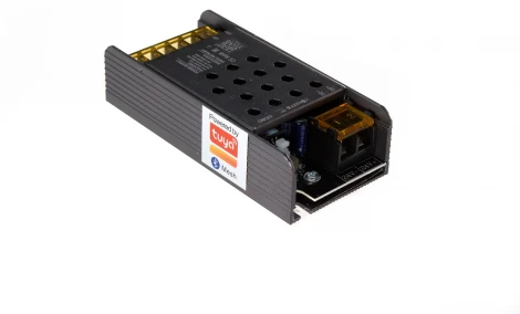 Контроллер для управления монохромной лентой (1 цвет) Lightstar 424901