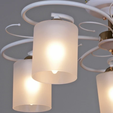 Потолочная люстра на штанге Reluce 00738-0.3-05 (220V)