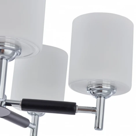 Потолочная люстра на штанге Arte Milano Napoli-2220 332220/5 CR