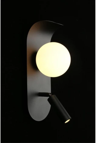 Настенный светильник LED Aployt Zofka APL.345.01.02 (220V, шар)