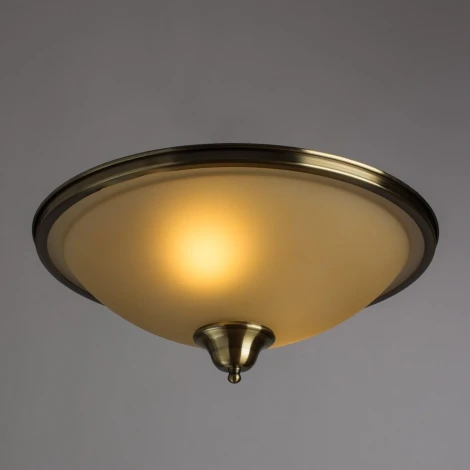 Потолочная люстра Arte Lamp Safari A6905PL-2AB