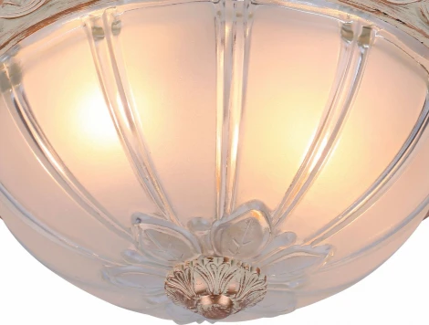 Потолочный светильник Arte Lamp Piatti A8014PL-2WA