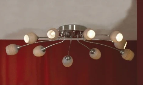 Потолочная люстра Lussole Spilimbergo LSA-3077-10
