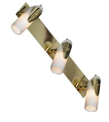 Настенно-потолочный светильник Lussole Gessate LSL-0401-03