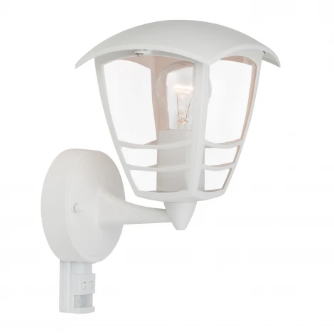 Настенный фонарь уличный Brilliant Riley 43397/05