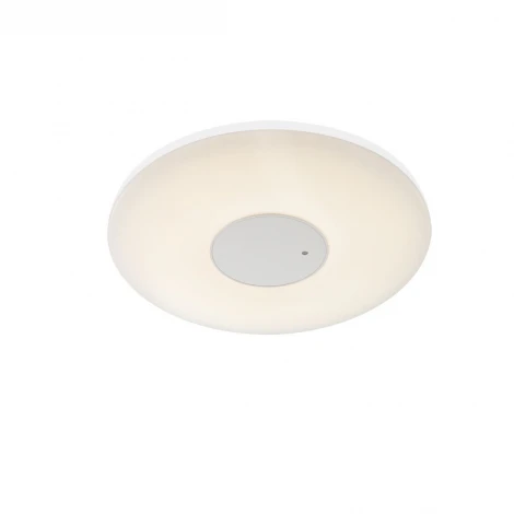 Настенно-потолочный светильник Globo Felion 41324