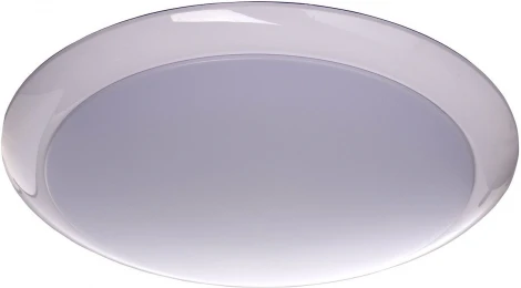 Потолочный светильник MW-Light Ривз 674014301