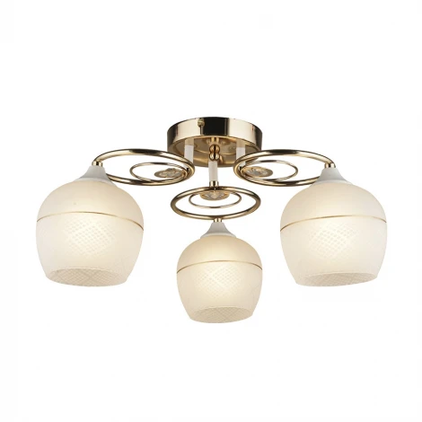 Потолочная люстра Wedo Light Idro 66203.01.10.03