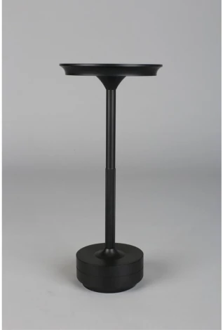 Настольная лампа светодиодная Aployt Markel APL.064.24.05 (220V)