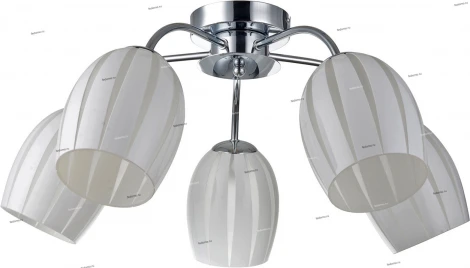 Потолочная люстра Lussole Brindisi LSF-6703-05
